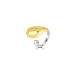 Load image into Gallery viewer, Eternal Blend Ring