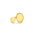 Load image into Gallery viewer, Twin Radiance (GOLD)
