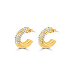 Load image into Gallery viewer, Arc Earrings
